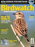 Birdwatch